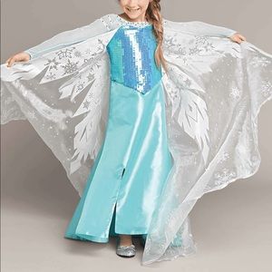 Chasing fireflies Elsa costume